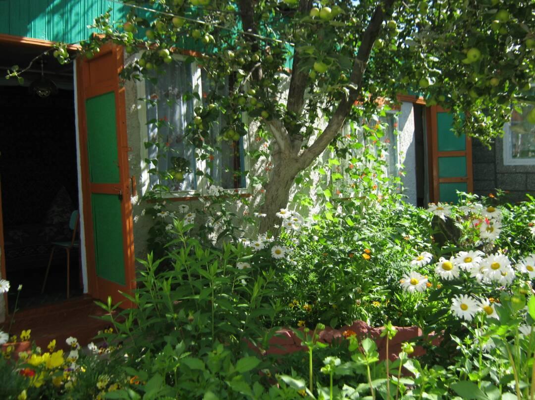 Olga Guest House Cholpon-Ata Kültér fotó