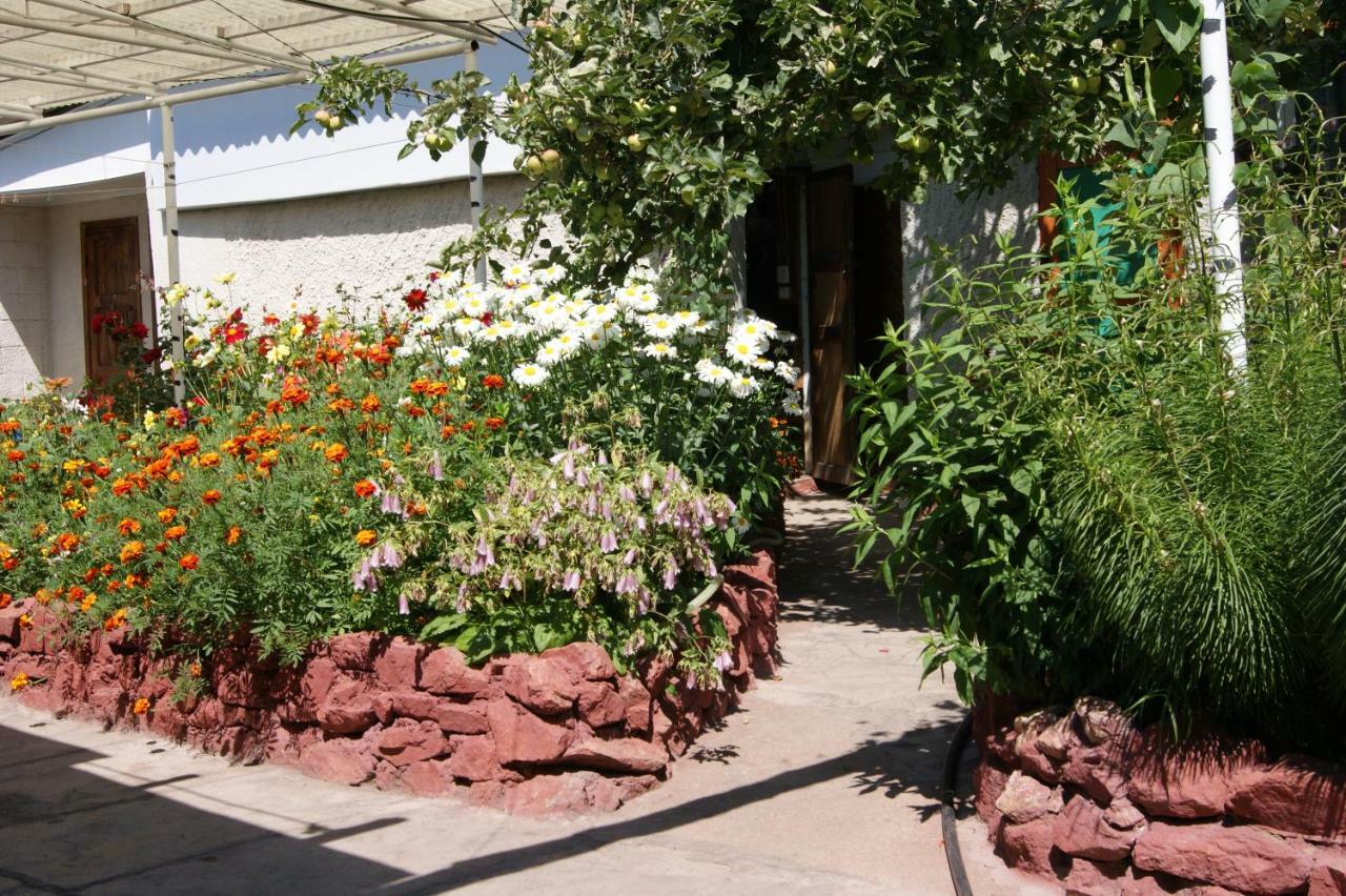Olga Guest House Cholpon-Ata Kültér fotó