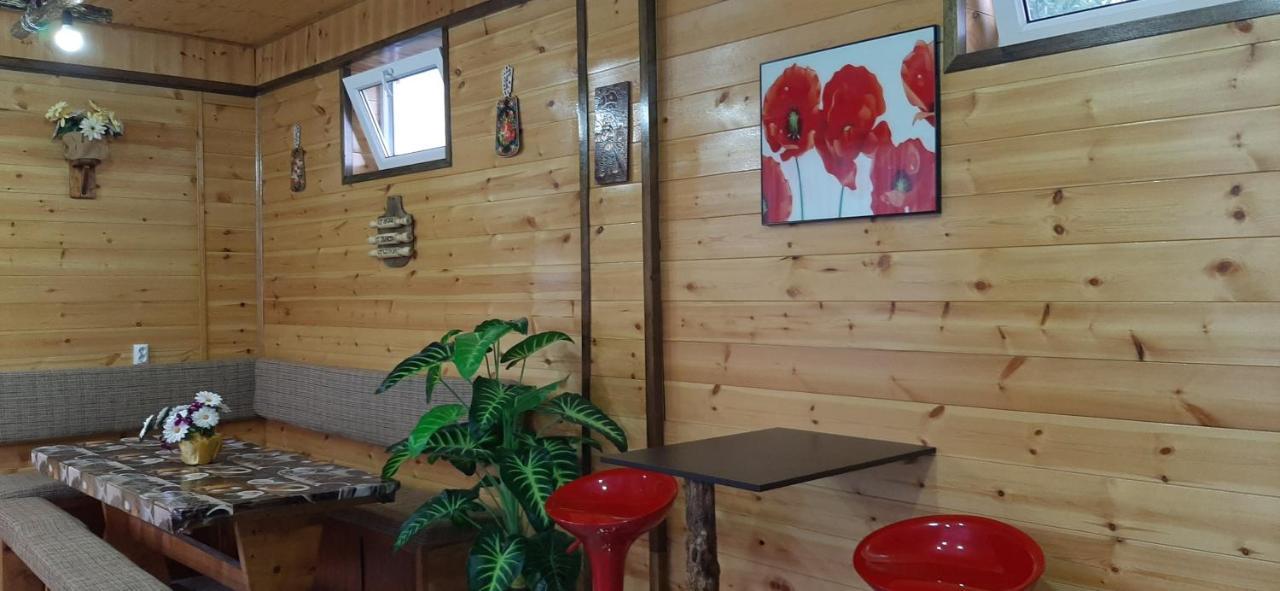 Olga Guest House Cholpon-Ata Kültér fotó