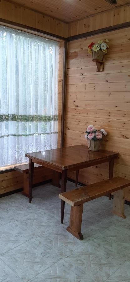 Olga Guest House Cholpon-Ata Kültér fotó